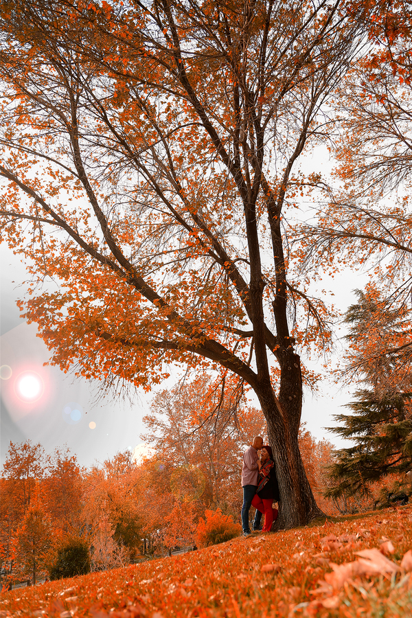 ژست عکس طبیعت / فضای باز