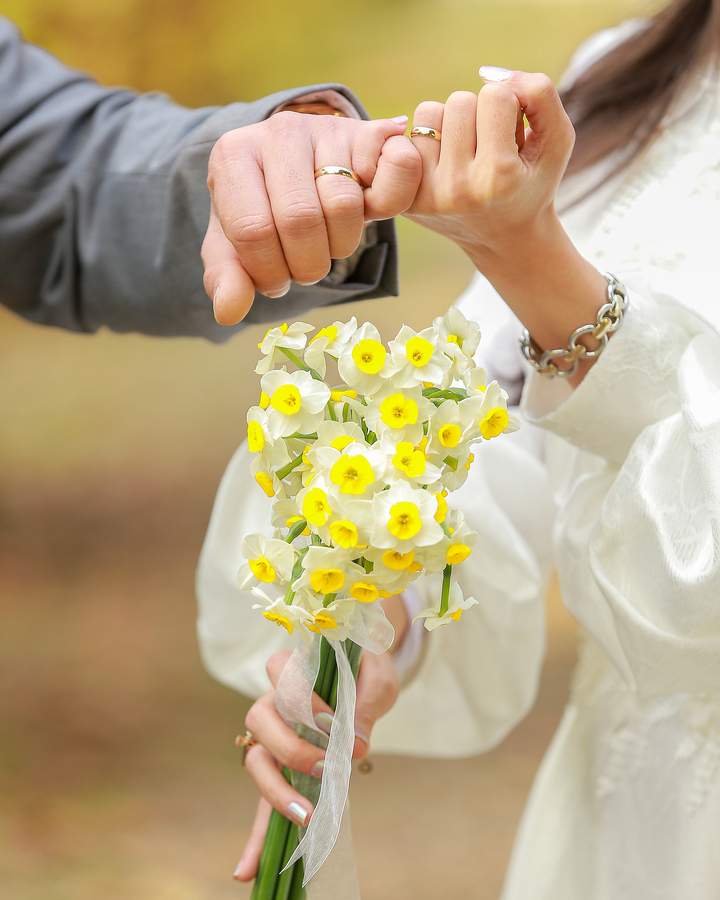 نمونه کار عقد، عروسی و فرمالیته