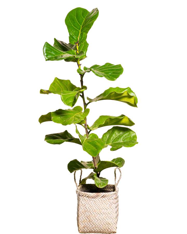 نمونه کار صنعتی و زمینه سفید