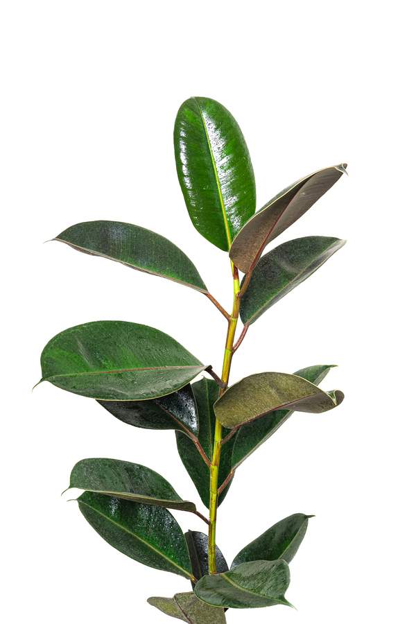 نمونه کار صنعتی و زمینه سفید