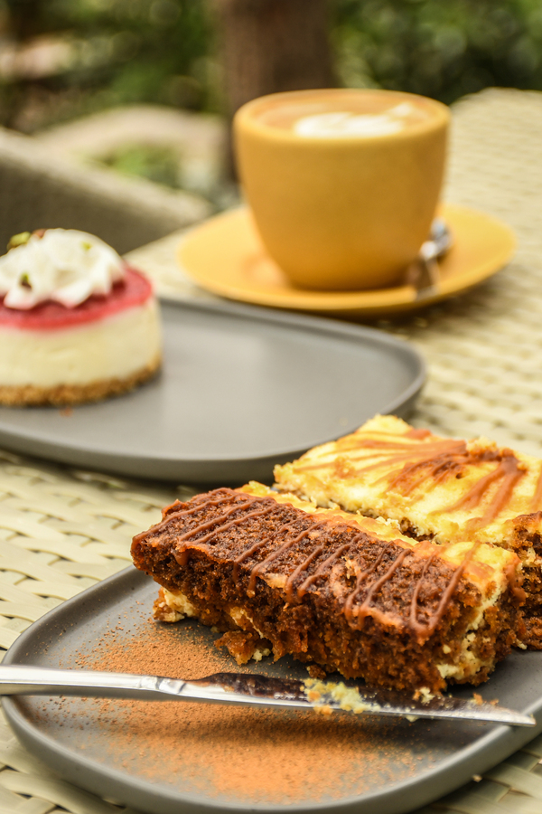 نمونه کار چهره - پروفایل