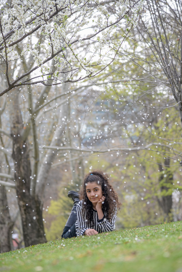 نمونه کار چهره - پروفایل