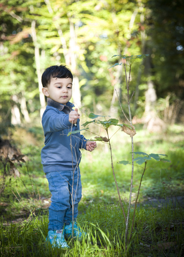 نمونه کار تولد - مهمانی - دورهمی