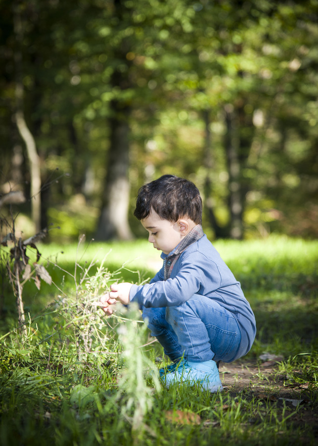 نمونه کار تولد - مهمانی - دورهمی
