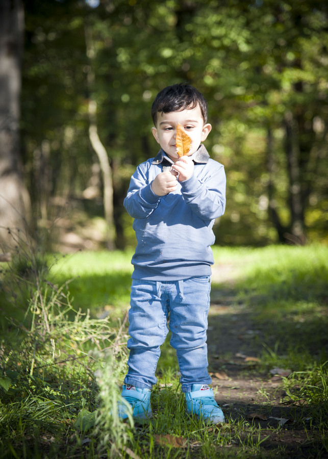 نمونه کار تولد - مهمانی - دورهمی