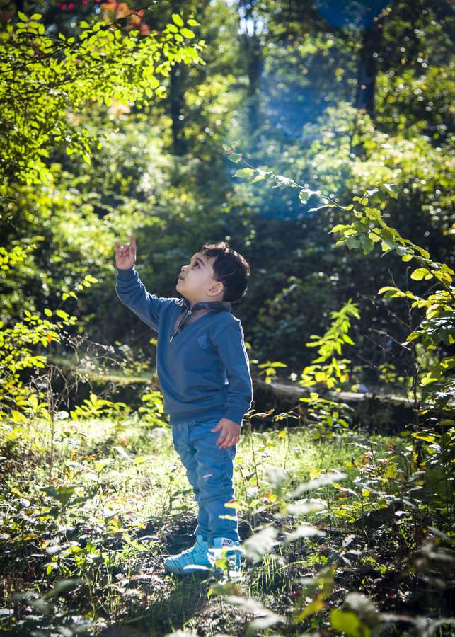 نمونه کار تولد - مهمانی - دورهمی