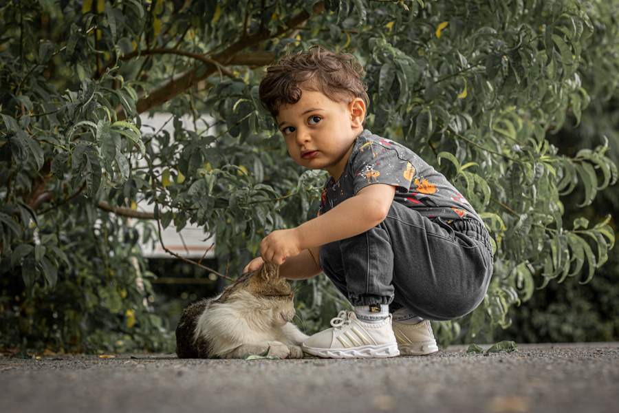 نمونه کار چهره - پروفایل