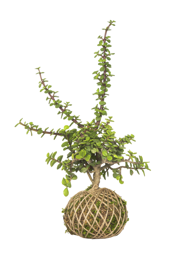 نمونه کار صنعتی و زمینه سفید