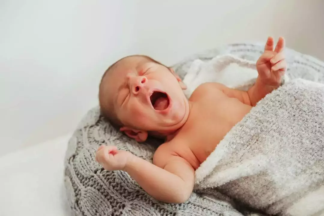 نمونه کار از فاطمه تاجیک
