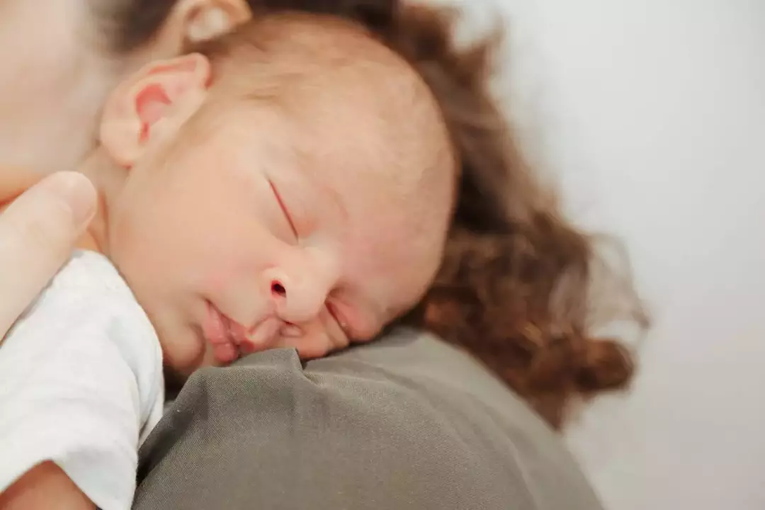 نمونه کار از فاطمه تاجیک