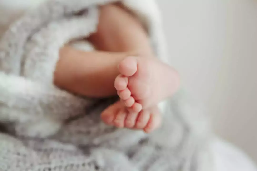 نمونه کار از فاطمه تاجیک