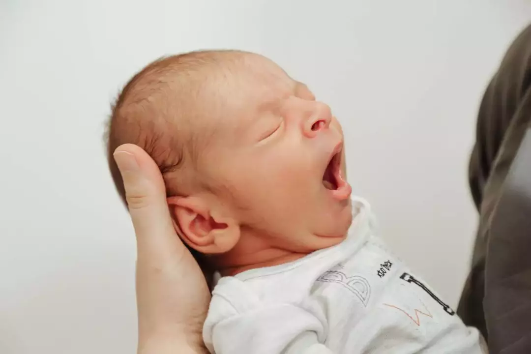 نمونه کار از فاطمه تاجیک
