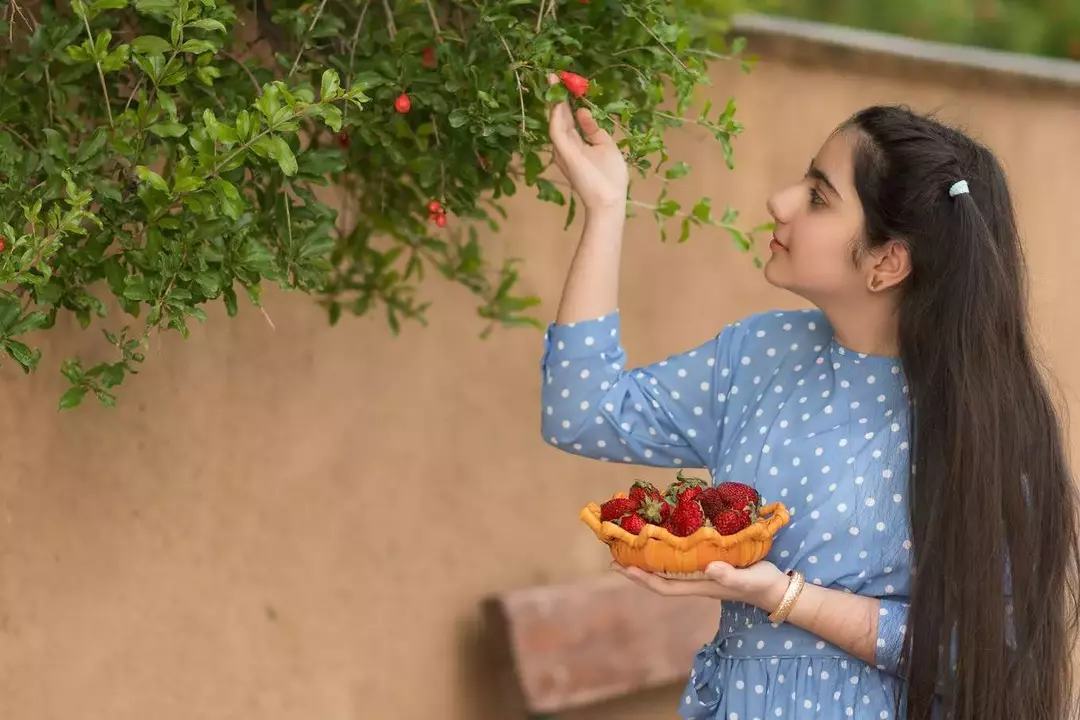 نمونه کار عکاسی فاطمه عباسی