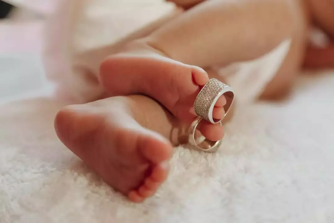 نمونه کار از فاطمه تاجیک