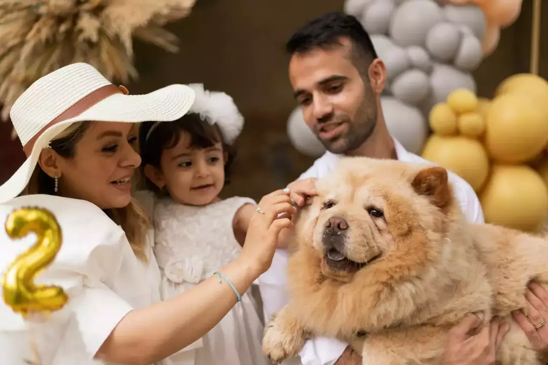 نمونه کار از ساناز همتی