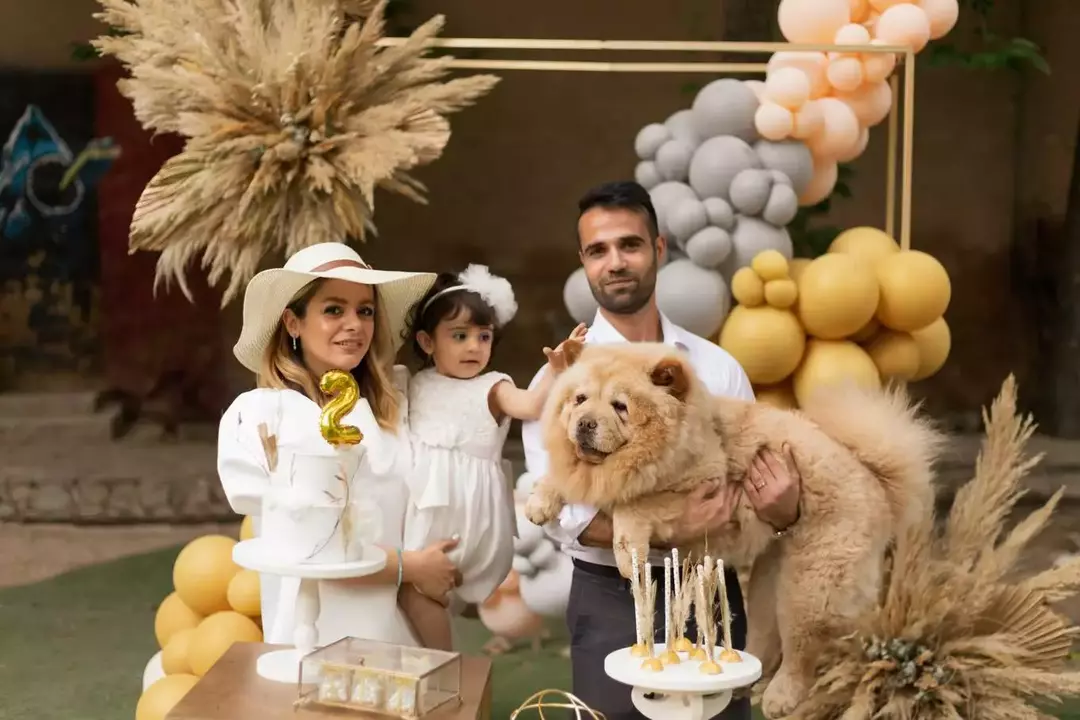 نمونه کار از ساناز همتی