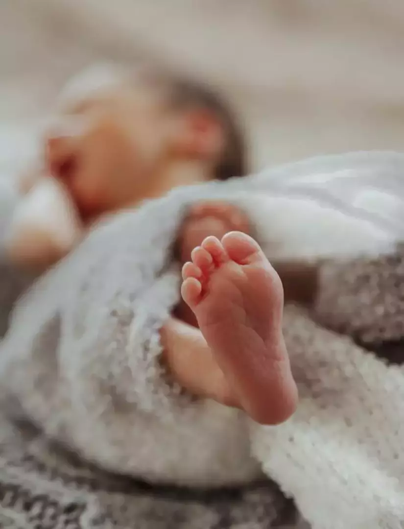 نمونه کار از فاطمه تاجیک