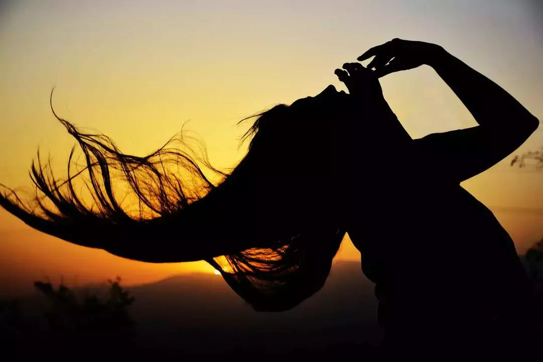 نمونه کار از شاهین صفری