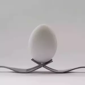 نمونه کار