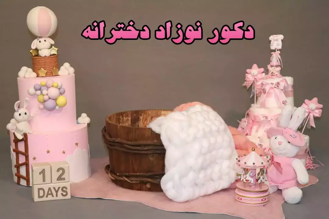 نمونه کار عکاسی نوزاد توسط فخاریان که در تاریخ 1400-06-31 ** چهارشنبه  **  ساعت 01:23PM بارگذاری شده است.