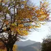 نمونه کار عکاسی مناظر توسط فخار، ثبت شده در 2021-09-27