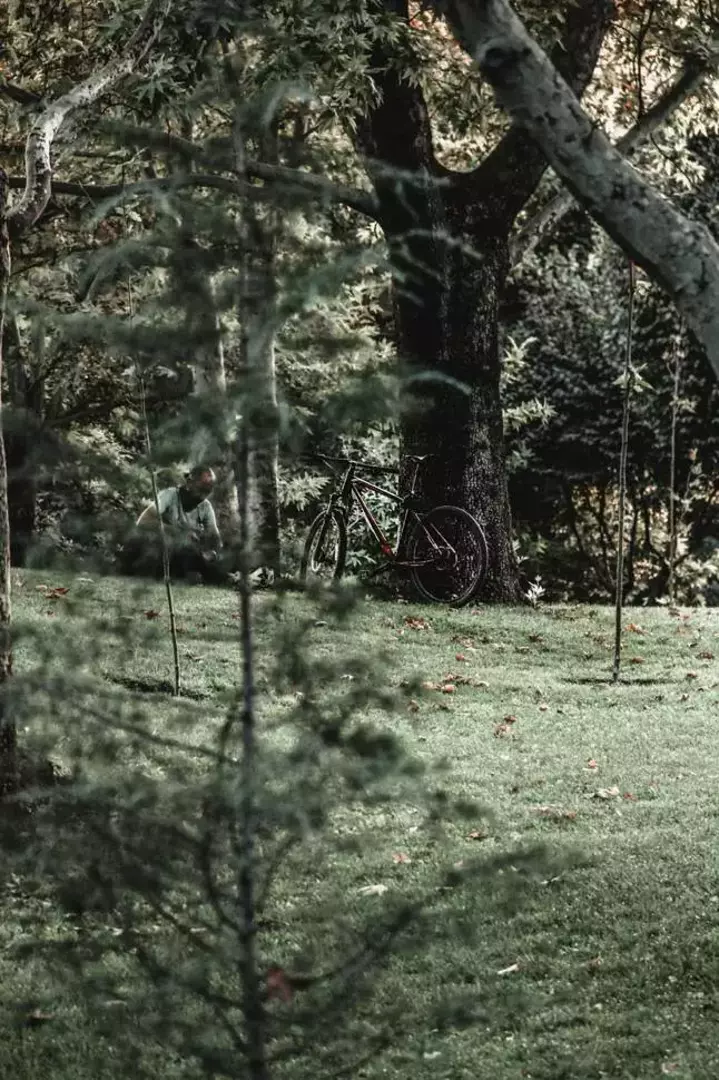 نمونه کار عکاسی محدثه دالائی