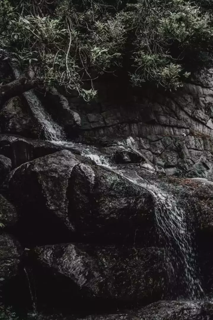 نمونه کار عکاسی محدثه دالائی