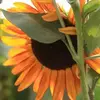 نمونه کار عکاسی مناظر توسط دالائی، ثبت شده در 2021-10-12