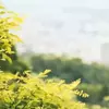 نمونه کار عکاسی مناظر توسط دالائی، ثبت شده در 2021-10-12