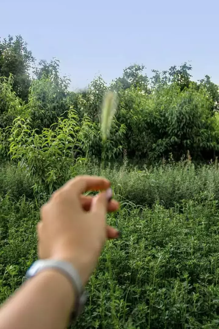نمونه کار عکاسی مناظر توسط دالائی که در تاریخ 1400-07-20 ** سه‌شنبه  **  ساعت 02:49PM بارگذاری شده است.