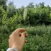 نمونه کار عکاسی مناظر توسط دالائی، ثبت شده در 2021-10-12