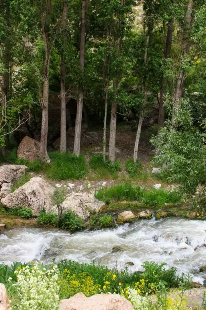 نمونه کار عکاسی مناظر توسط دالائی که در تاریخ 1400-07-20 ** سه‌شنبه  **  ساعت 02:52PM بارگذاری شده است.