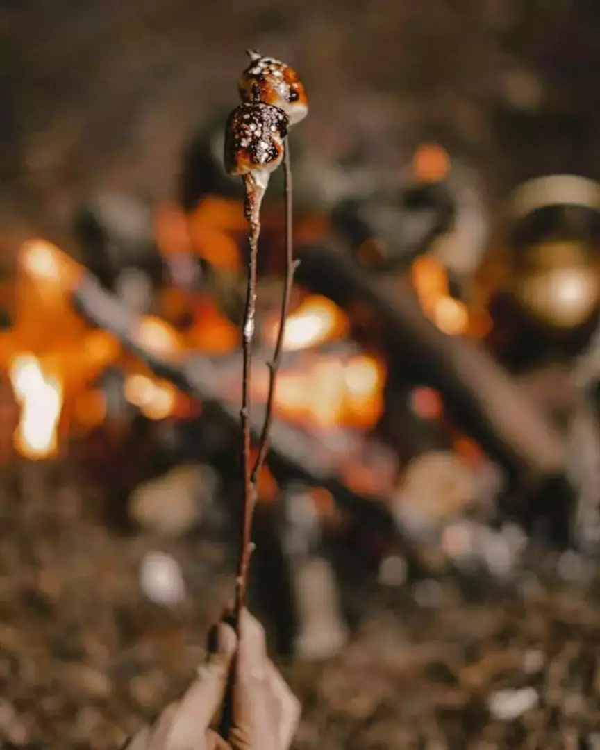 نمونه کار عکاسی مونا فاتحی