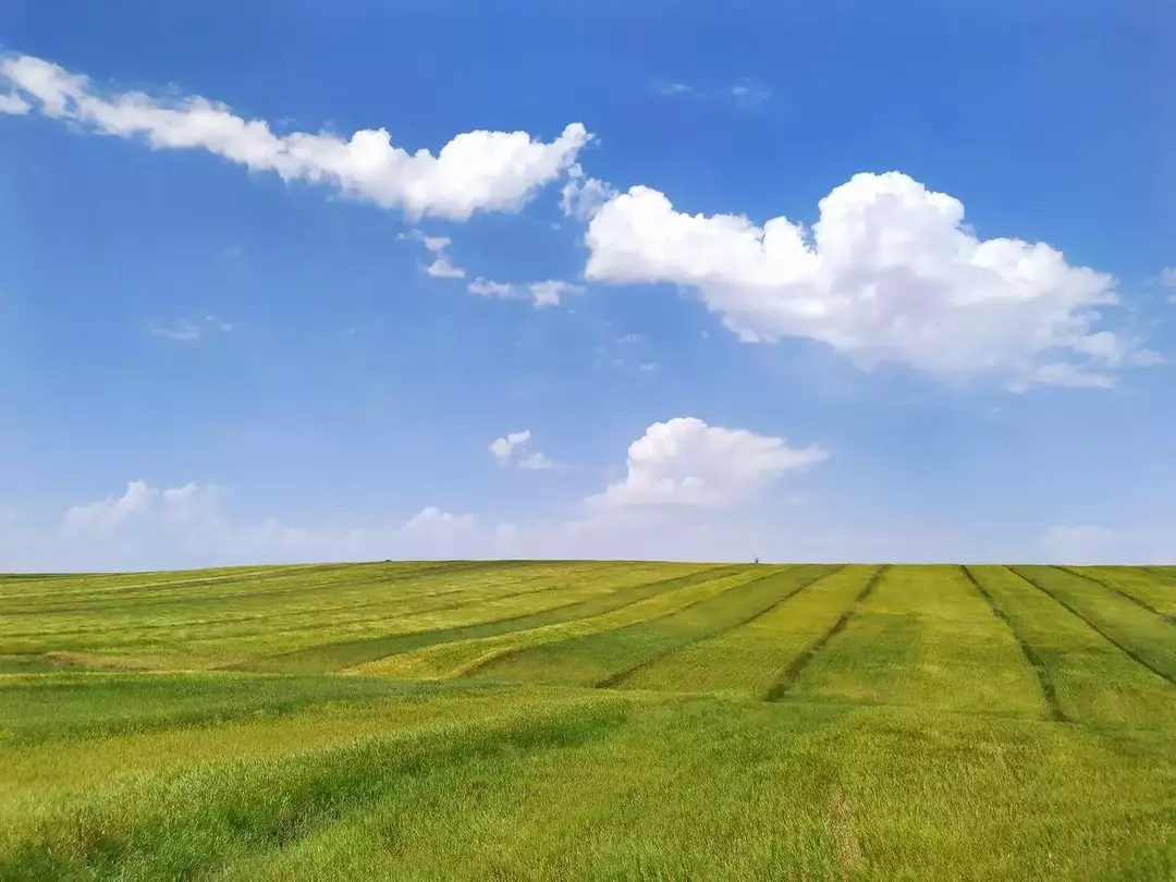 نمونه کار عکاسی جواد فیض