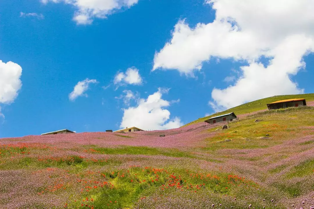 نمونه کار عکاسی جواد فیض