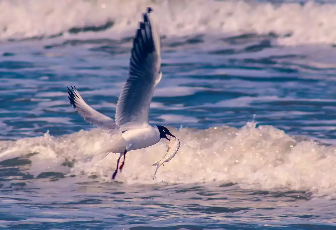 نمونه کار عکاسی جواد فیض