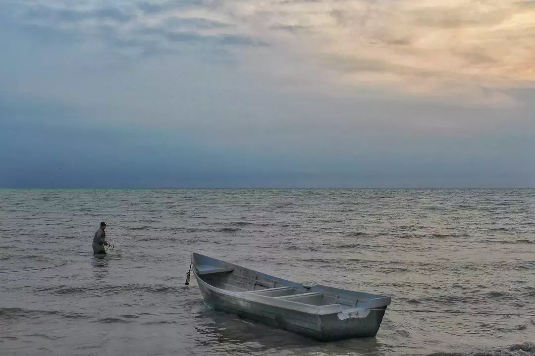 نمونه کار عکاسی جواد فیض