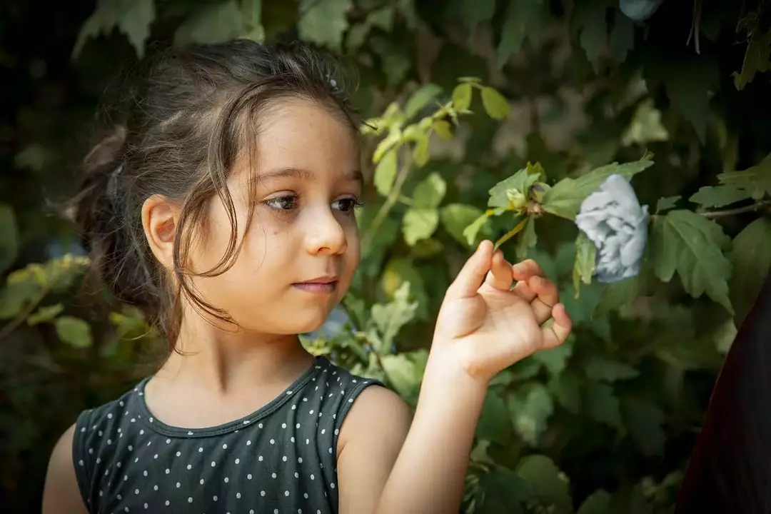 نمونه کار عکاسی یاسر زارع