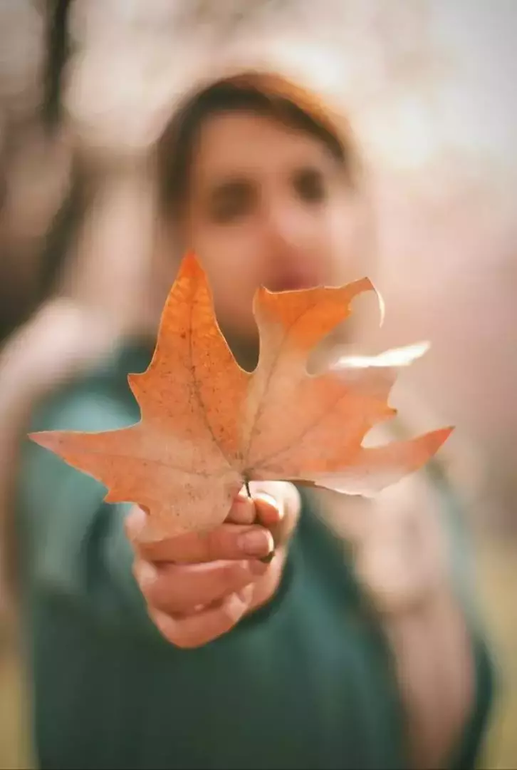 نمونه کار از هلیا مروتی