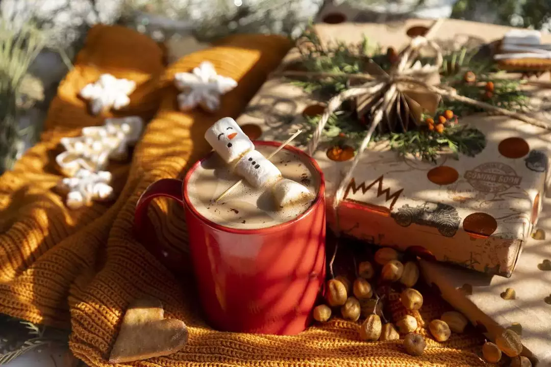 عکاسی تبلیغاتی غذا از سارا حق پرست