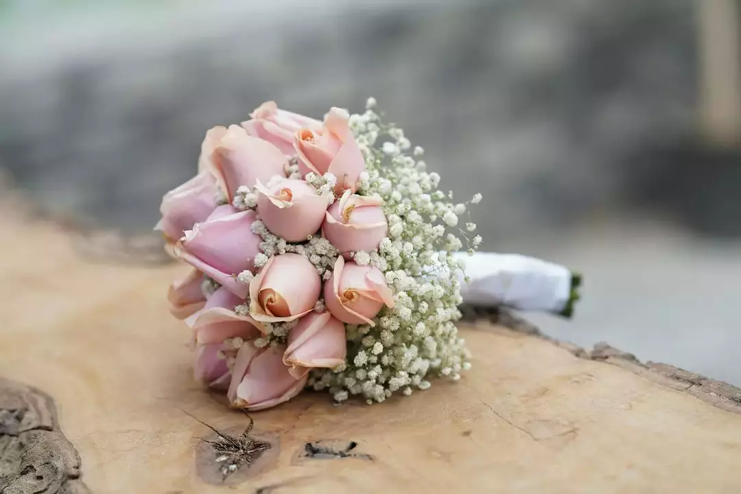 عکاسی عقد و عروسی از فاطمه, اکبری