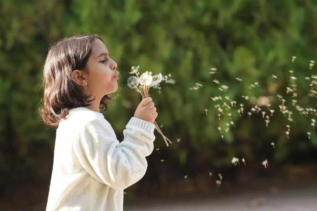 عکاسی کودک از فاطمه, اکبری