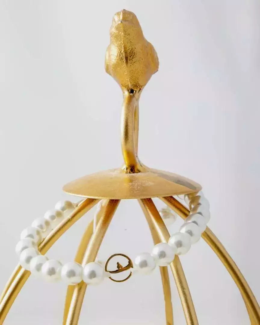 نمونه کار عکاسی ریحانه عسگری