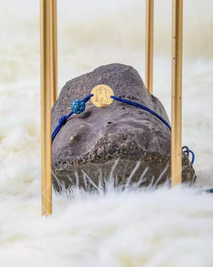 نمونه کار عکاسی ریحانه عسگری