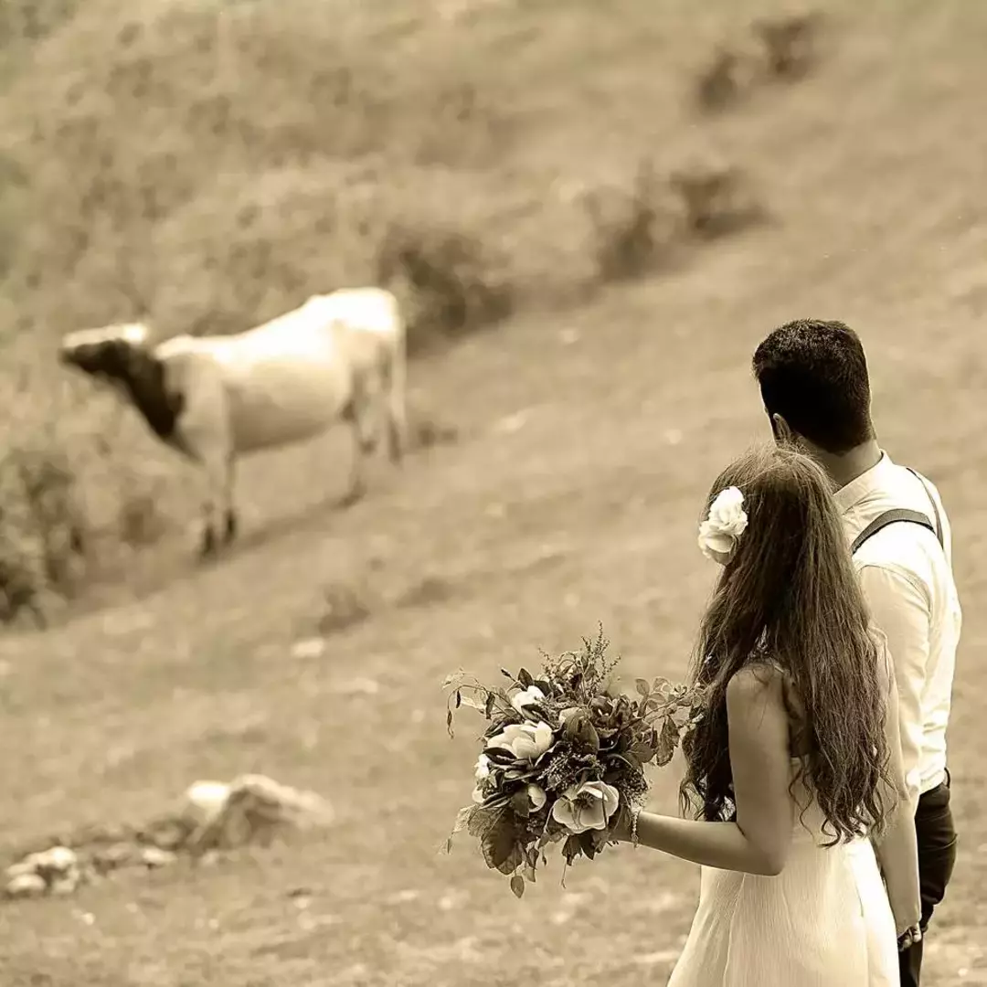 نمونه کار از بهشته سامعی