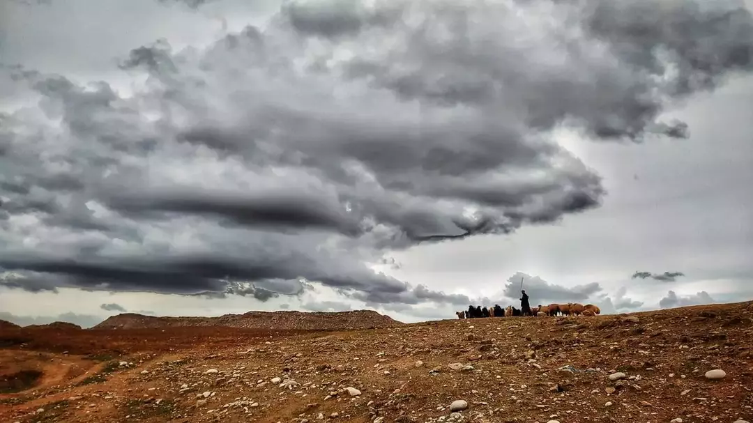 نمونه کار عکاسی مناظر توسط حبیبی راد که در تاریخ 1400-10-27 ** دوشنبه  **  ساعت 01:24PM بارگذاری شده است.