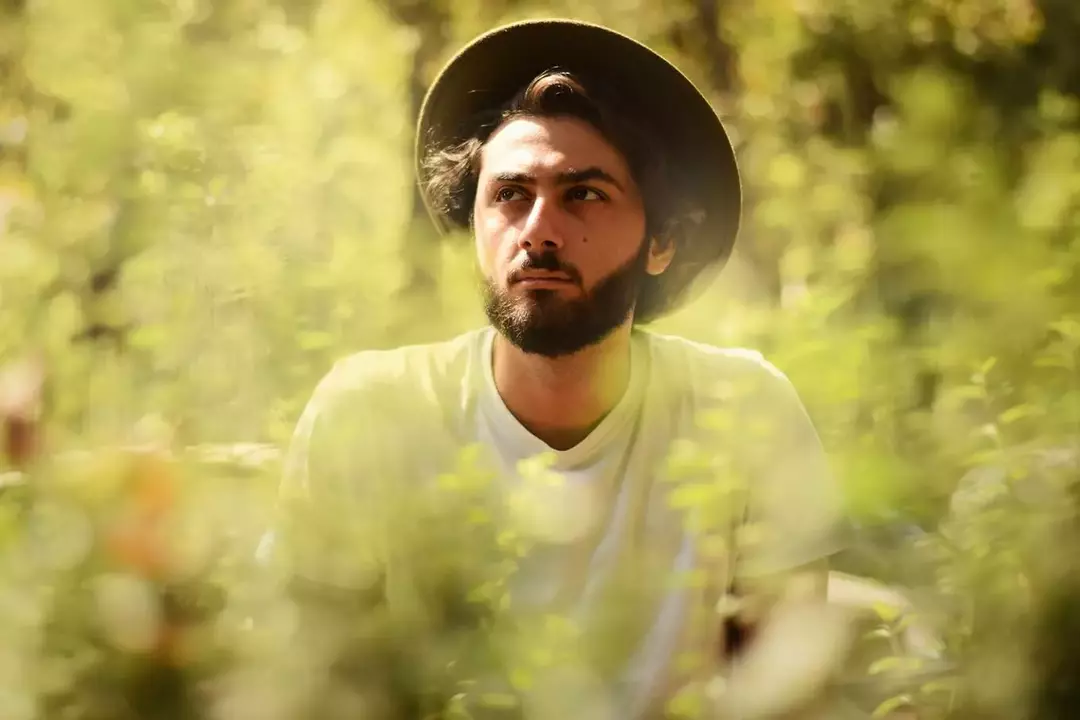 نمونه کار از امیرحسین ازندریان ملایری