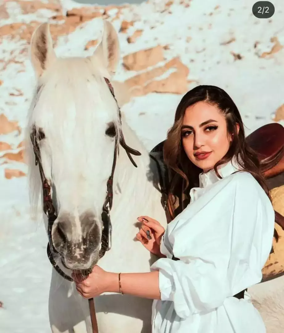 نمونه کار از رومینا احمدیان