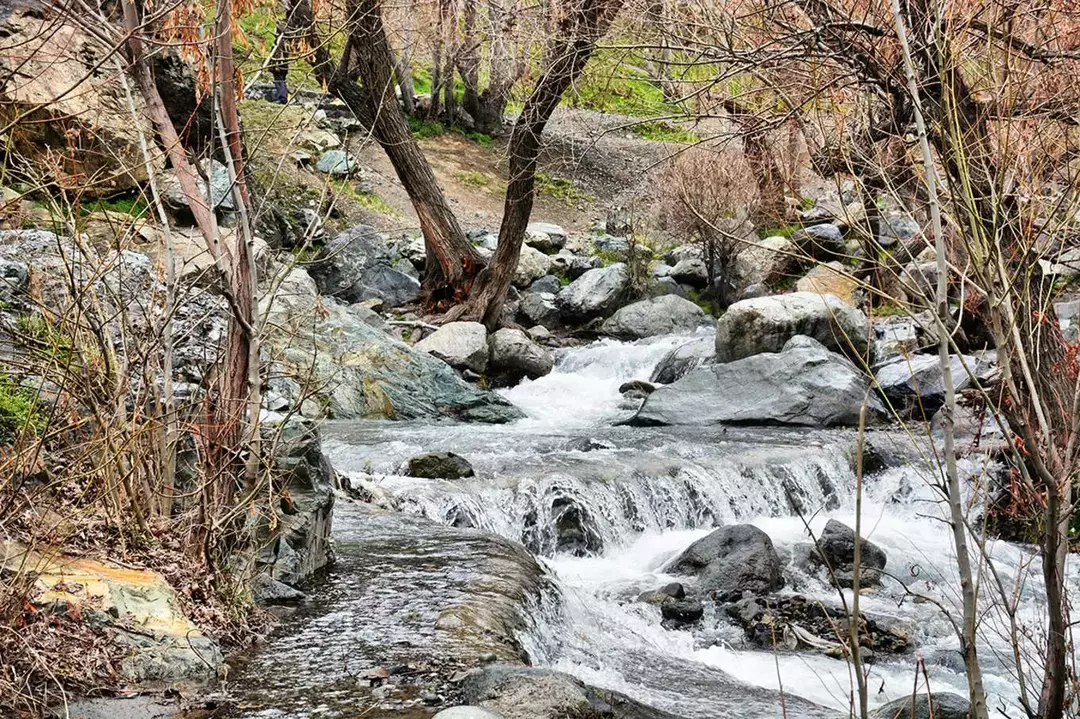 نمونه کار عکاسی پارمیس مقدسین