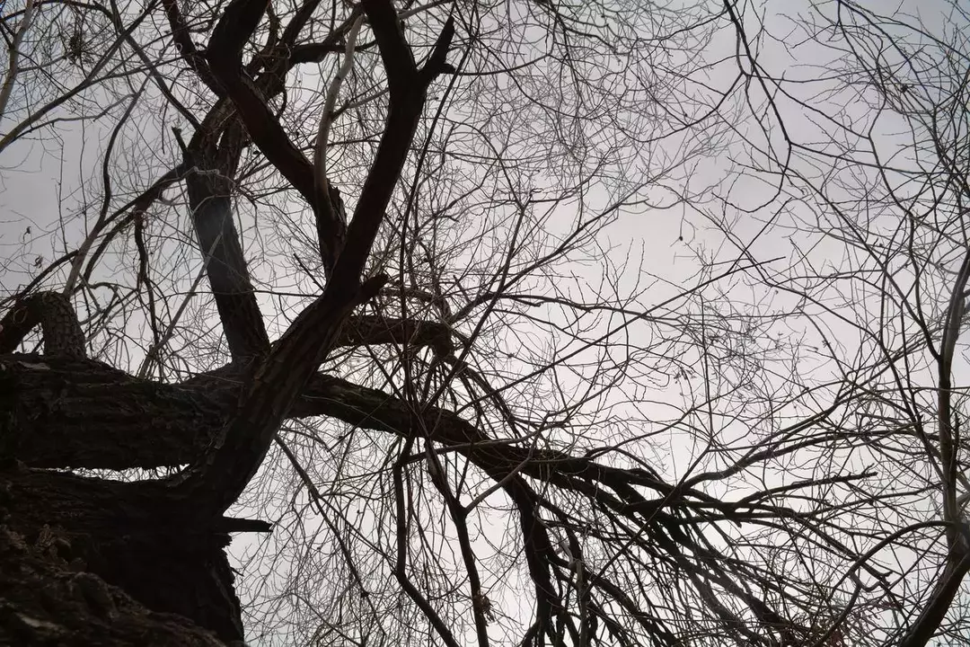 نمونه کار عکاسی مناظر توسط مقدسین که در تاریخ 1400-11-18 ** دوشنبه  **  ساعت 06:20PM بارگذاری شده است.